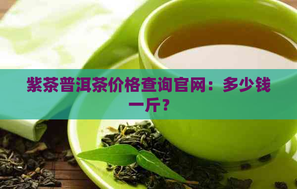 紫茶普洱茶价格查询官网：多少钱一斤？