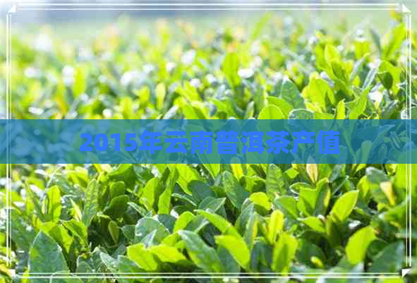 2015年云南普洱茶产值