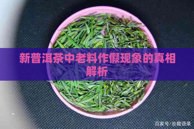 新普洱茶中老料作假现象的真相解析