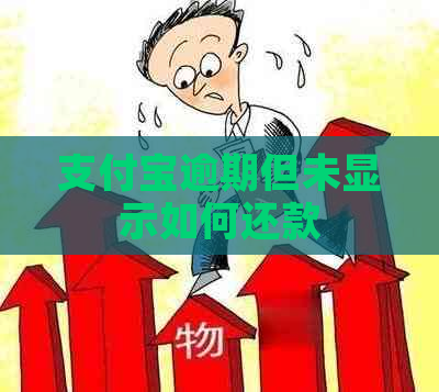 支付宝逾期但未显示如何还款