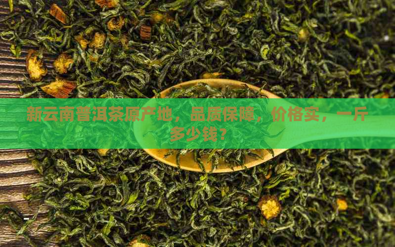 新云南普洱茶原产地，品质保障，价格实，一斤多少钱？