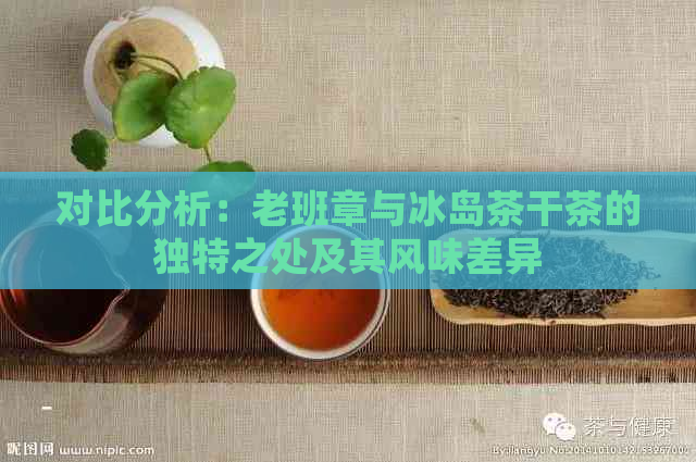 对比分析：老班章与冰岛茶干茶的独特之处及其风味差异