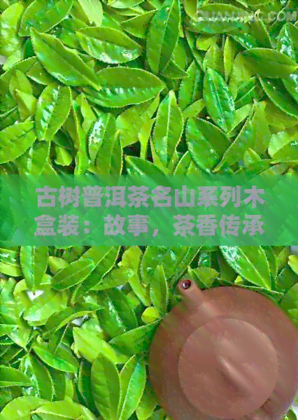 古树普洱茶名山系列木盒装：故事，茶香传承，收藏投资指南