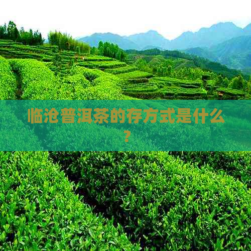 临沧普洱茶的存方式是什么？