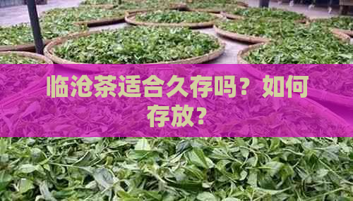 临沧茶适合久存吗？如何存放？