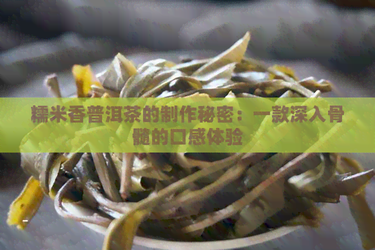 糯米香普洱茶的制作秘密：一款深入骨髓的口感体验