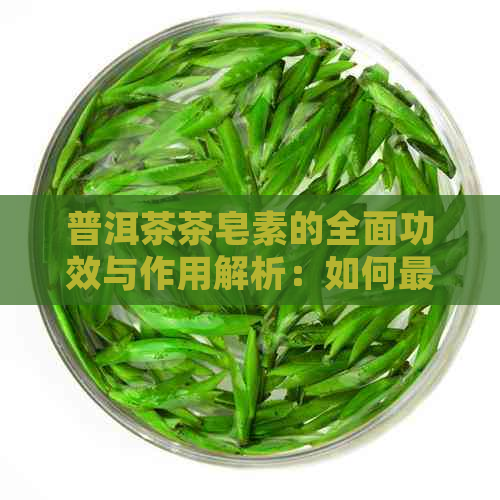 普洱茶茶皂素的全面功效与作用解析：如何更大化其健益处？