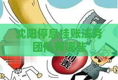 沈阳停息挂账法务团队有哪些