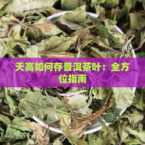 天高如何存普洱茶叶：全方位指南