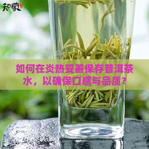 如何在炎热妥善保存普洱茶水，以确保口感与品质？