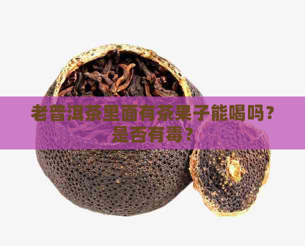 老普洱茶里面有茶果子能喝吗？是否有？