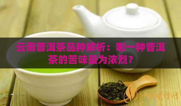 云南普洱茶品种解析：哪一种普洱茶的苦味最为浓烈？