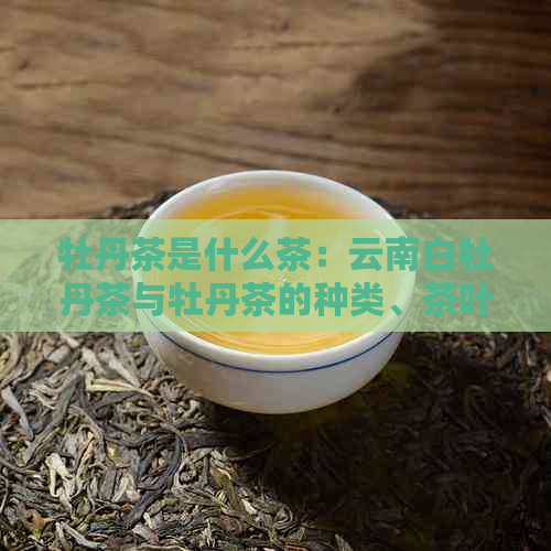 牡丹茶是什么茶：云南白牡丹茶与牡丹茶的种类、茶叶特征及制作方法