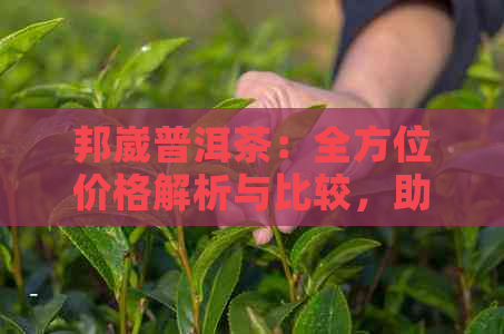 邦崴普洱茶：全方位价格解析与比较，助您轻松挑选最适合的茶叶