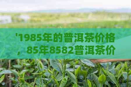 '1985年的普洱茶价格，85年8582普洱茶价格表'