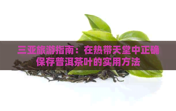 三亚旅游指南：在热带天堂中正确保存普洱茶叶的实用方法