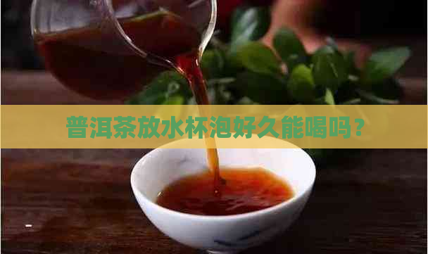 普洱茶放水杯泡好久能喝吗？