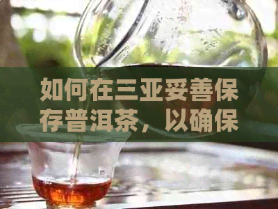 如何在三亚妥善保存普洱茶，以确保其品质和口感？