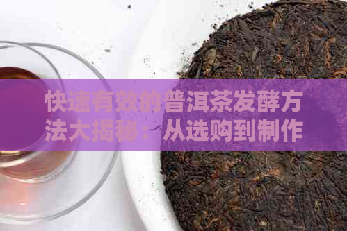 快速有效的普洱茶发酵方法大揭秘：从选购到制作全方位解析