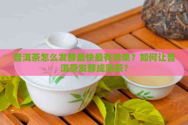 普洱茶怎么发酵最快最有效果？如何让普洱茶发酵成熟茶？