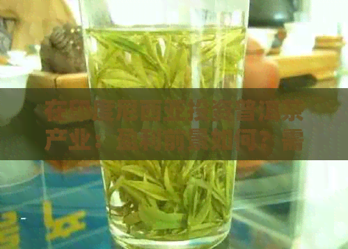 在印度尼西亚投资普洱茶产业：盈利前景如何？需要考虑哪些因素？