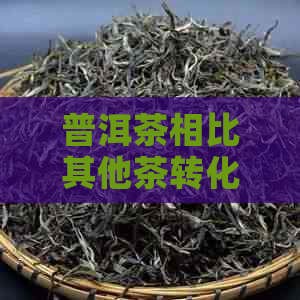 普洱茶相比其他茶转化快的原因及过程