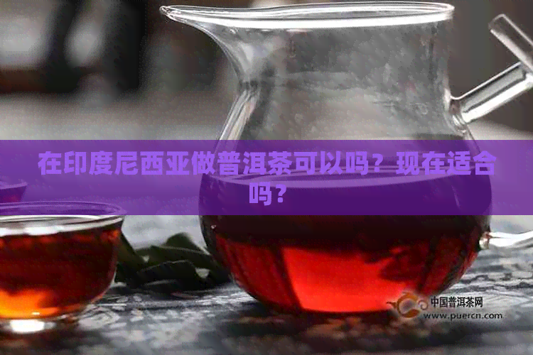 在印度尼西亚做普洱茶可以吗？现在适合吗？