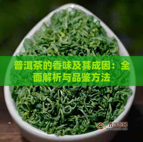 普洱茶的香味及其成因：全面解析与品鉴方法