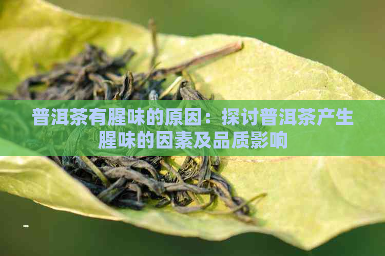 普洱茶有腥味的原因：探讨普洱茶产生腥味的因素及品质影响