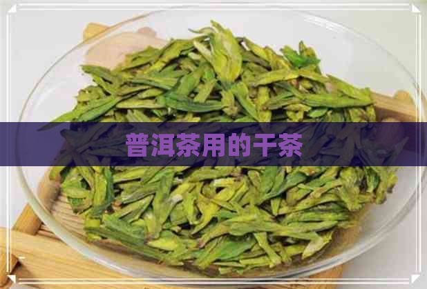 普洱茶用的干茶