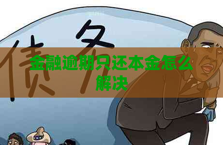 金融逾期只还本金怎么解决