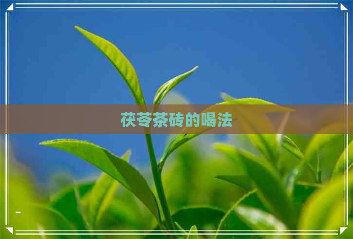 茯苓茶砖的喝法