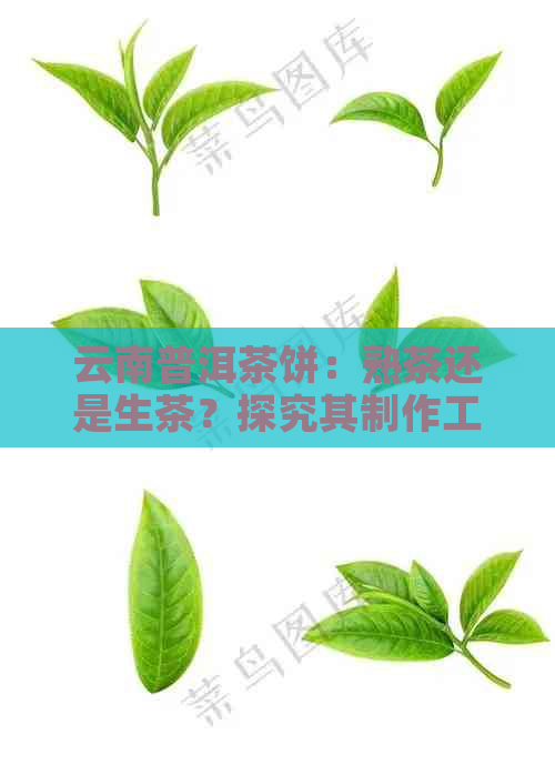 云南普洱茶饼：熟茶还是生茶？探究其制作工艺及品饮特点。