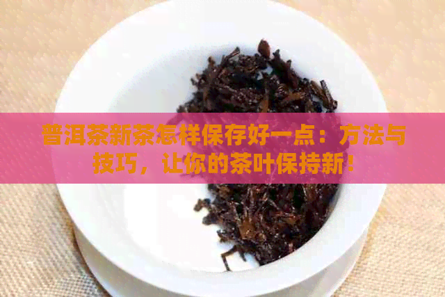 普洱茶新茶怎样保存好一点：方法与技巧，让你的茶叶保持新！