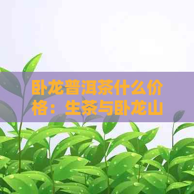 卧龙普洱茶什么价格：生茶与卧龙山普洱茶的优质选择