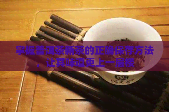 掌握普洱茶新茶的正确保存方法，让其味道更上一层楼