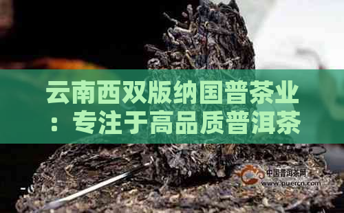 云南西双版纳国普茶业：专注于高品质普洱茶的研发与生产