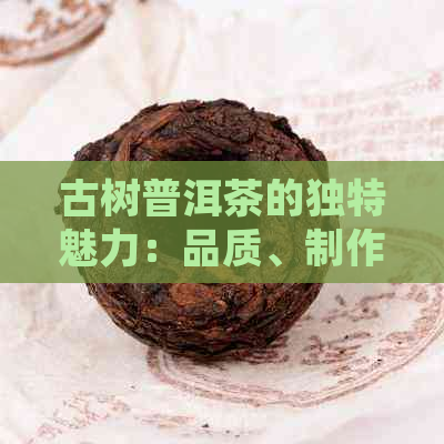 古树普洱茶的独特魅力：品质、制作工艺与健益处详解