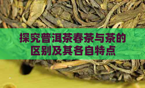 探究普洱茶春茶与茶的区别及其各自特点