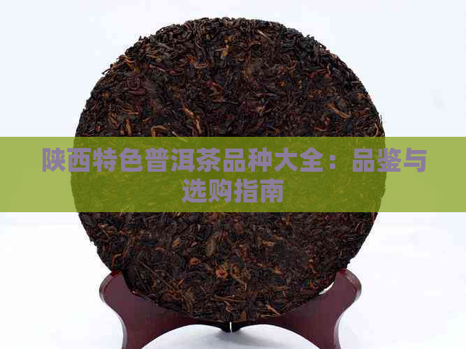 陕西特色普洱茶品种大全：品鉴与选购指南