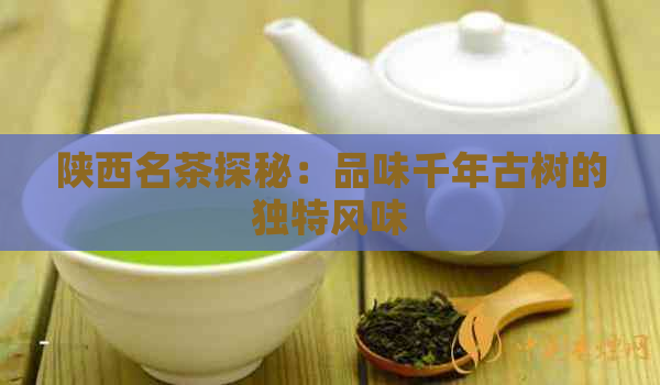 陕西名茶探秘：品味千年古树的独特风味