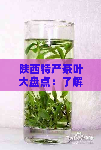 陕西特产茶叶大盘点：了解这些茶叶，轻松掌握陕西茶文化