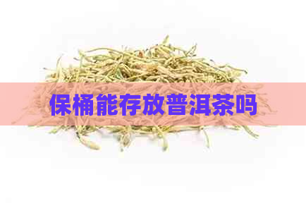 保桶能存放普洱茶吗