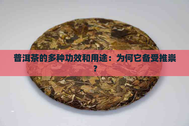 普洱茶的多种功效和用途：为何它备受推崇？