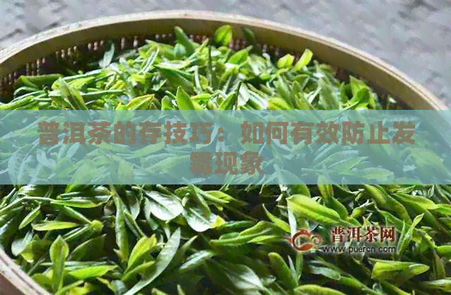 普洱茶的存技巧：如何有效防止发霉现象