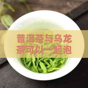 普洱茶与乌龙茶可以一起泡吗？如何实现口感组合？