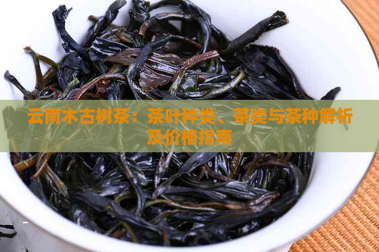 云南木古树茶：茶叶种类、茶类与茶种解析及价格指南