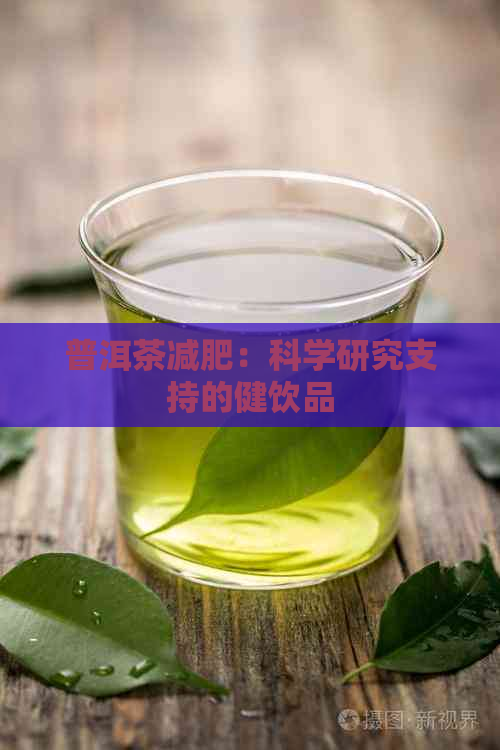 普洱茶减肥：科学研究支持的健饮品