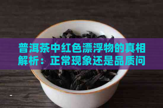 普洱茶中红色漂浮物的真相解析：正常现象还是品质问题？