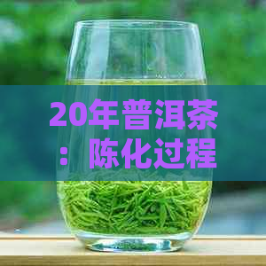 20年普洱茶：陈化过程、品质变化及收藏建议详解